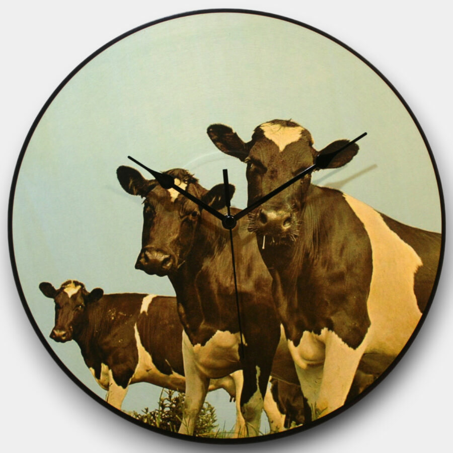 IMG_3230-Photoroom IMG_3230-Photoroom