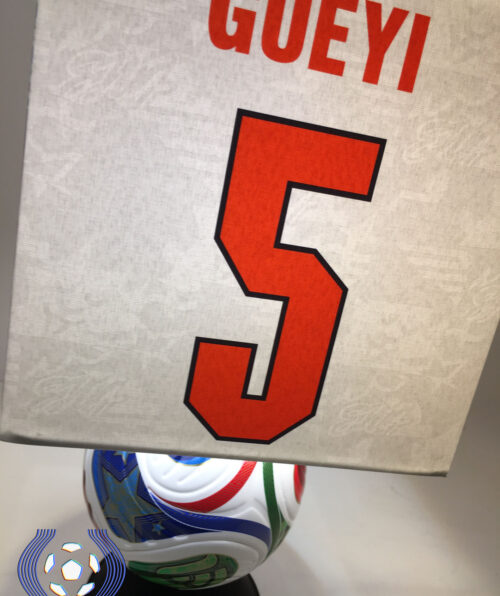 a (41)