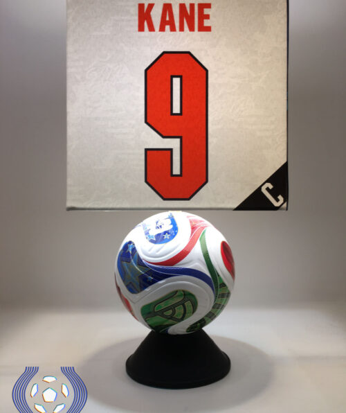 a (46)